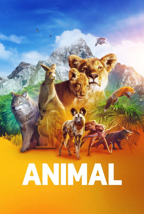 Animal : 2.Sezon 4.Bölüm