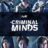 Criminal Minds : 1.Sezon 1.Bölüm izle