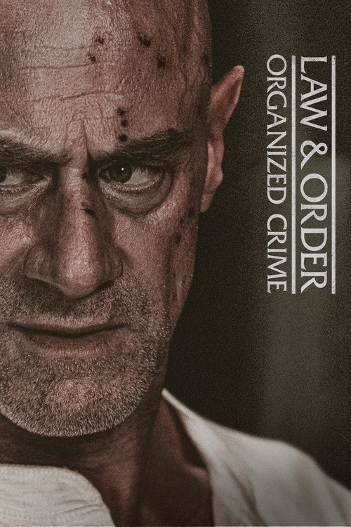 Law & Order Organized Crime : 3.Sezon 7.Bölüm