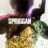 SPRIGGAN : 1.Sezon 1.Bölüm izle