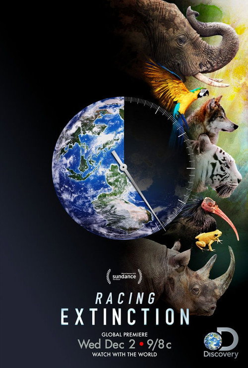 Nesli Tüketme Yarışı izle (2015)