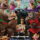 Şampiyon Keçi: Tüm Zamanların En İyisi izle (2026) izle